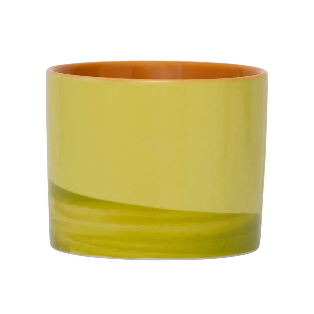 UNC | Mug Tazza (set of 2) | Evergreen Sprig