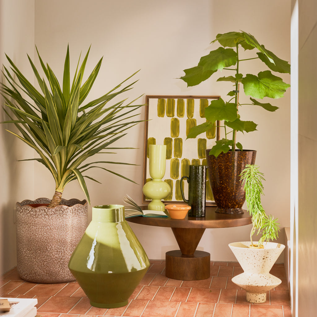 URBAN NATURE CULTURE | VAAS PHILA | MAYFLY