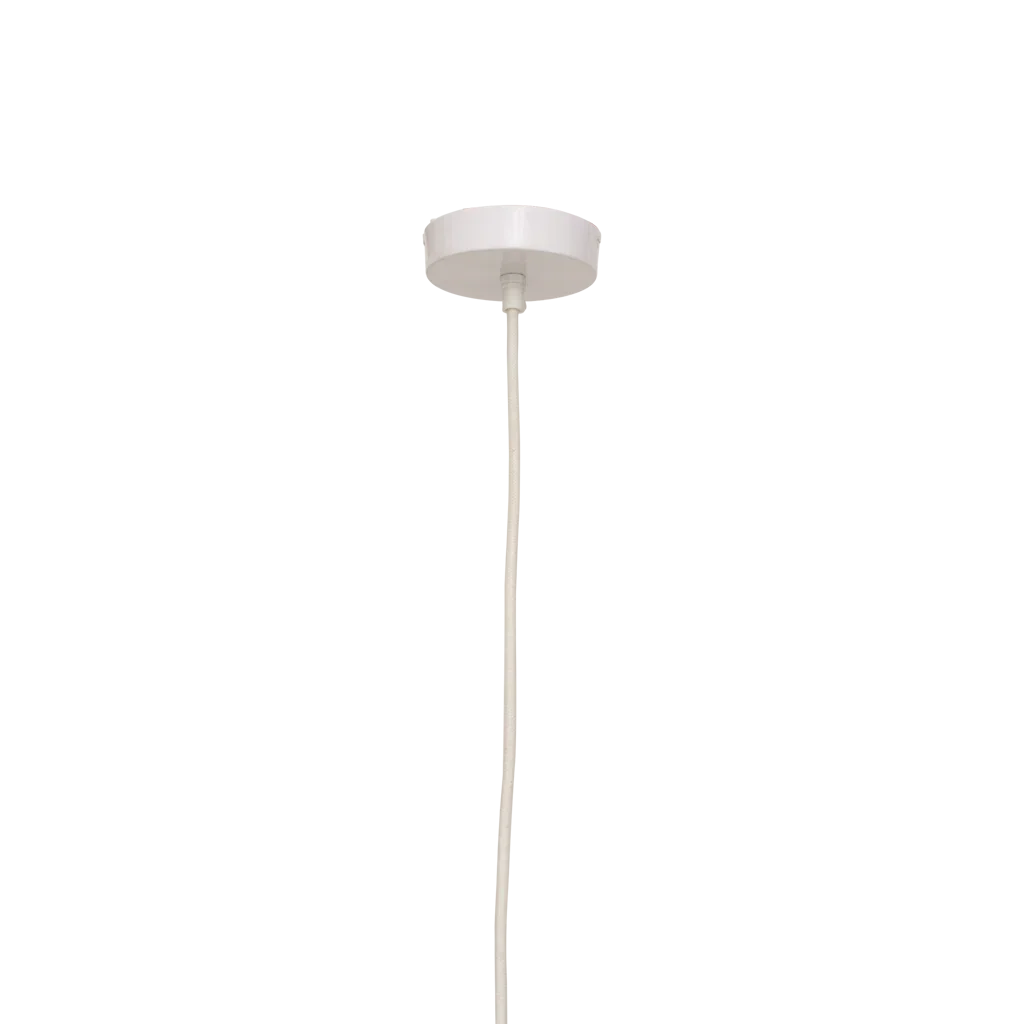 URBAN NATURE CULTURE | HANGSLAMP NENE | NATUUR & BRUIN