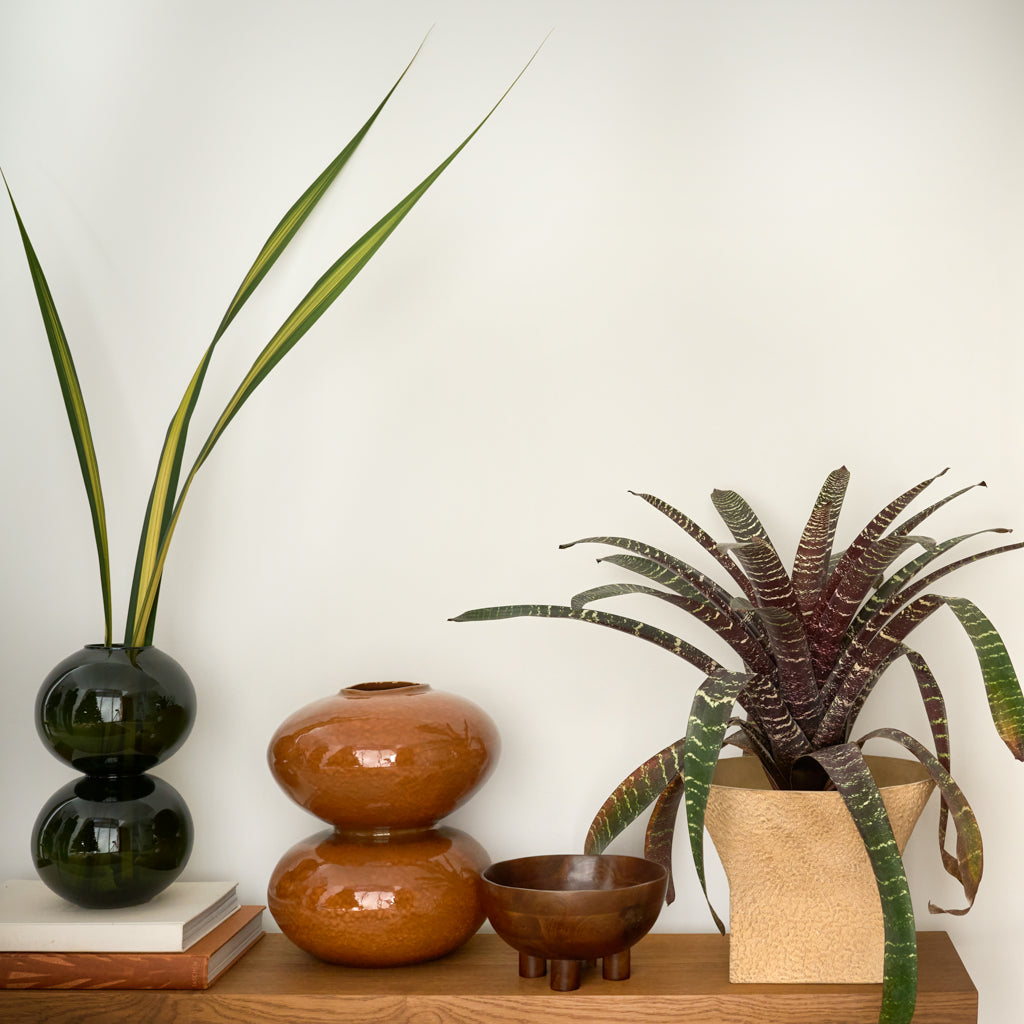 URBAN NATURE CULTURE | VAAS YUKI | BANANA PALM