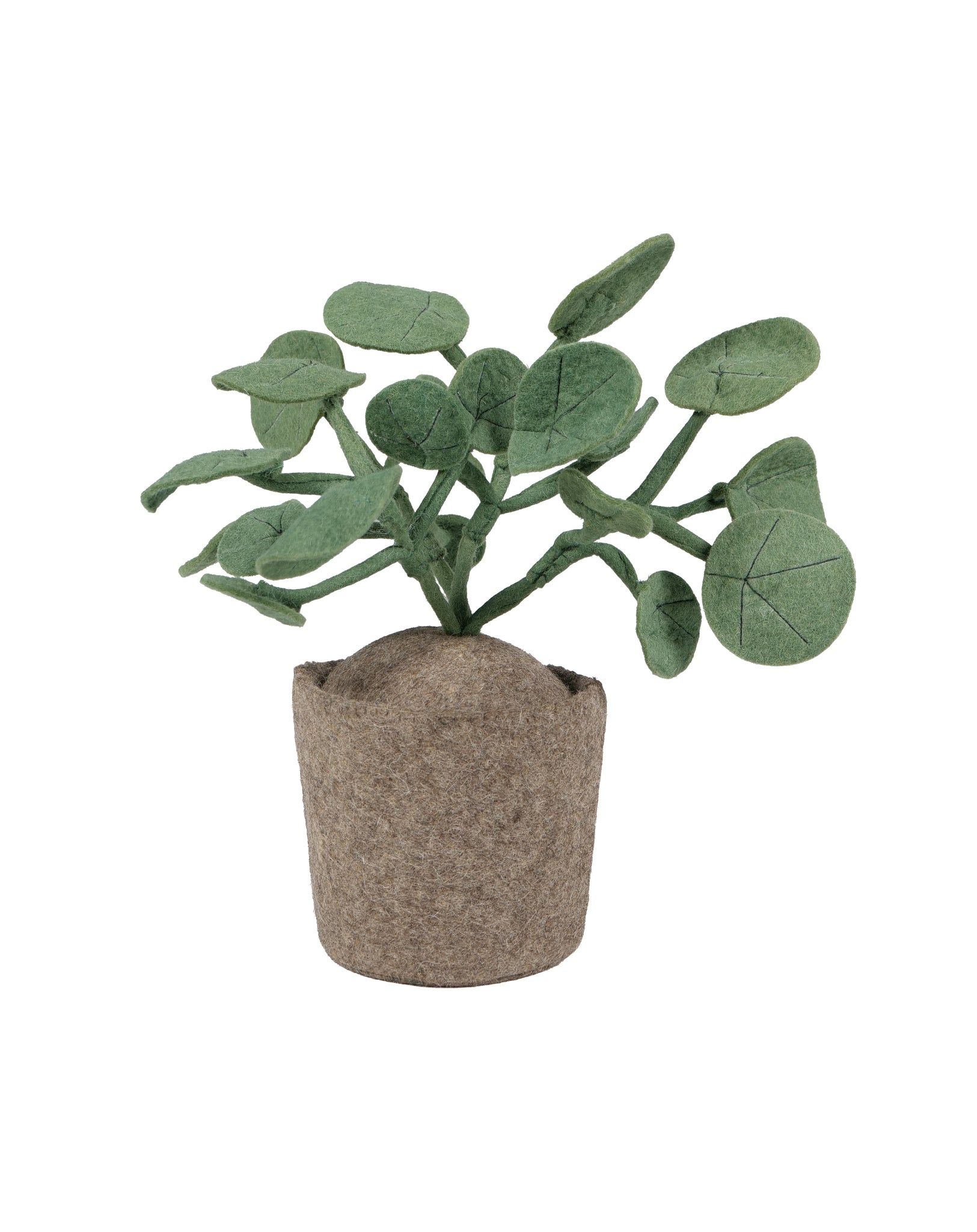 KidsDepot | DECORATIEVE PLANT | PILEO PEPERO
