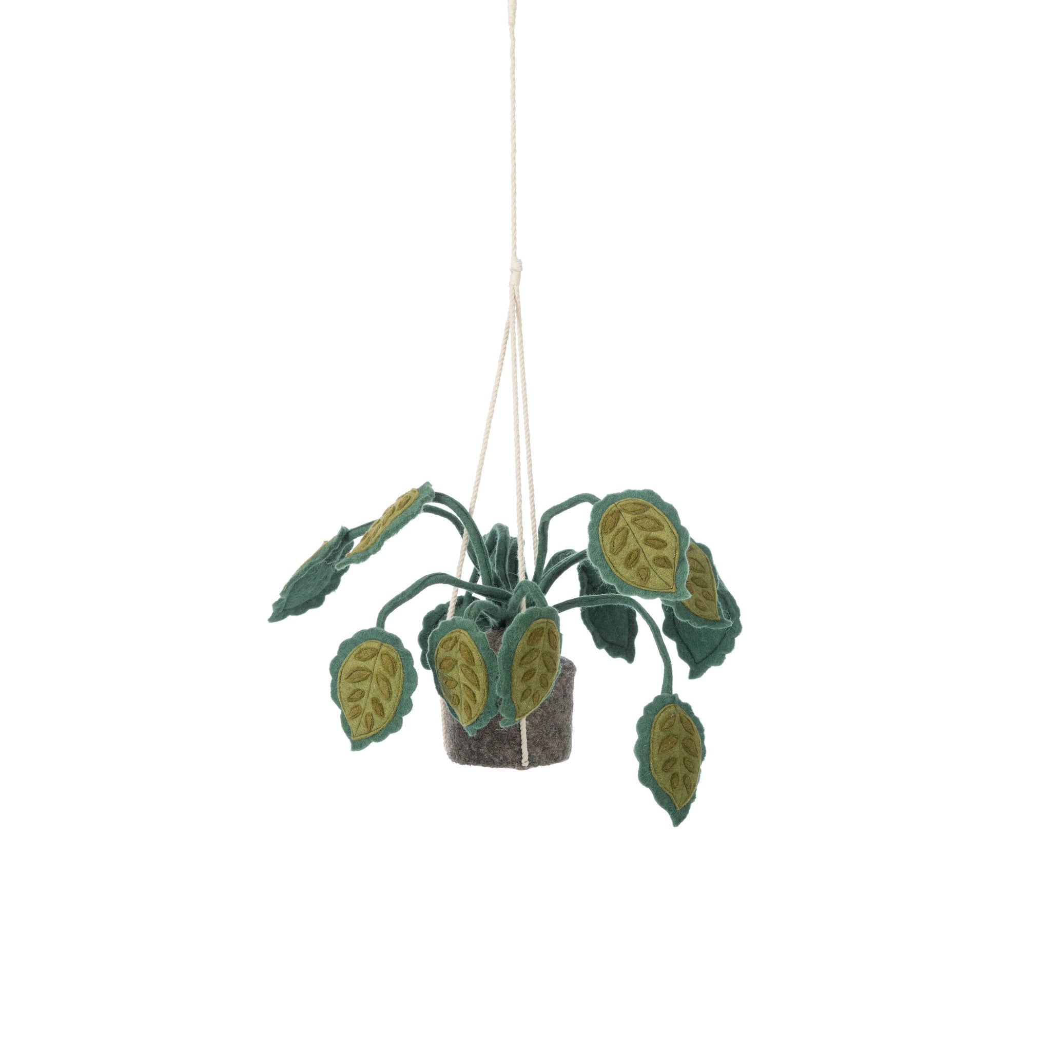 KidsDepot | HANGPLANT | BIG LEAVES