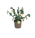 KIDSDEPOT | VILTEN PLANT CITRUS | GEEL