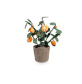KIDSDEPOT | VILTEN PLANT SINAASAPPEL | ORANJE