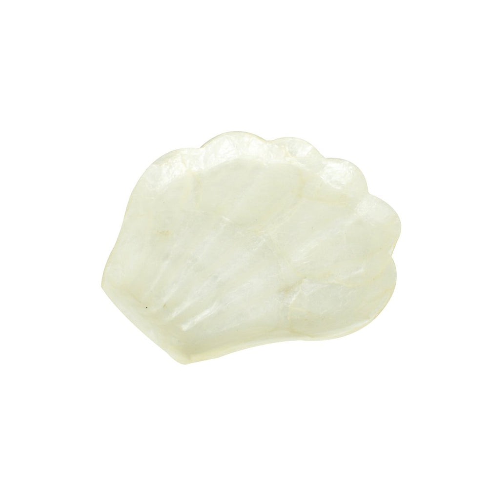 HIPPIE MONKEY | THE SEA SHELL PLATE | WIT