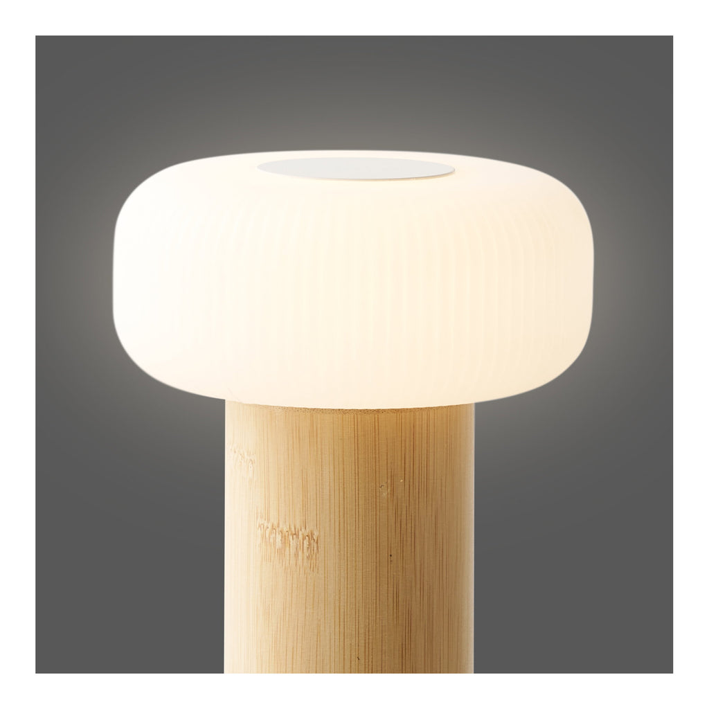 HOUSE NORDIC | STAFFORD TAFELLAMP | OPLAADBAAR + WIT (13,5x13,5x18 CM)
