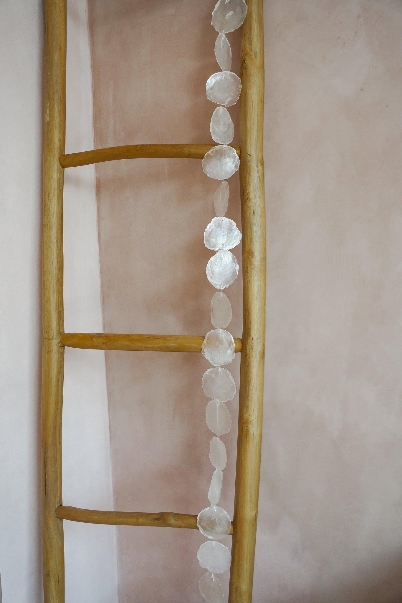 HIPPIE MONKEY | THE LONG SEA SHELL