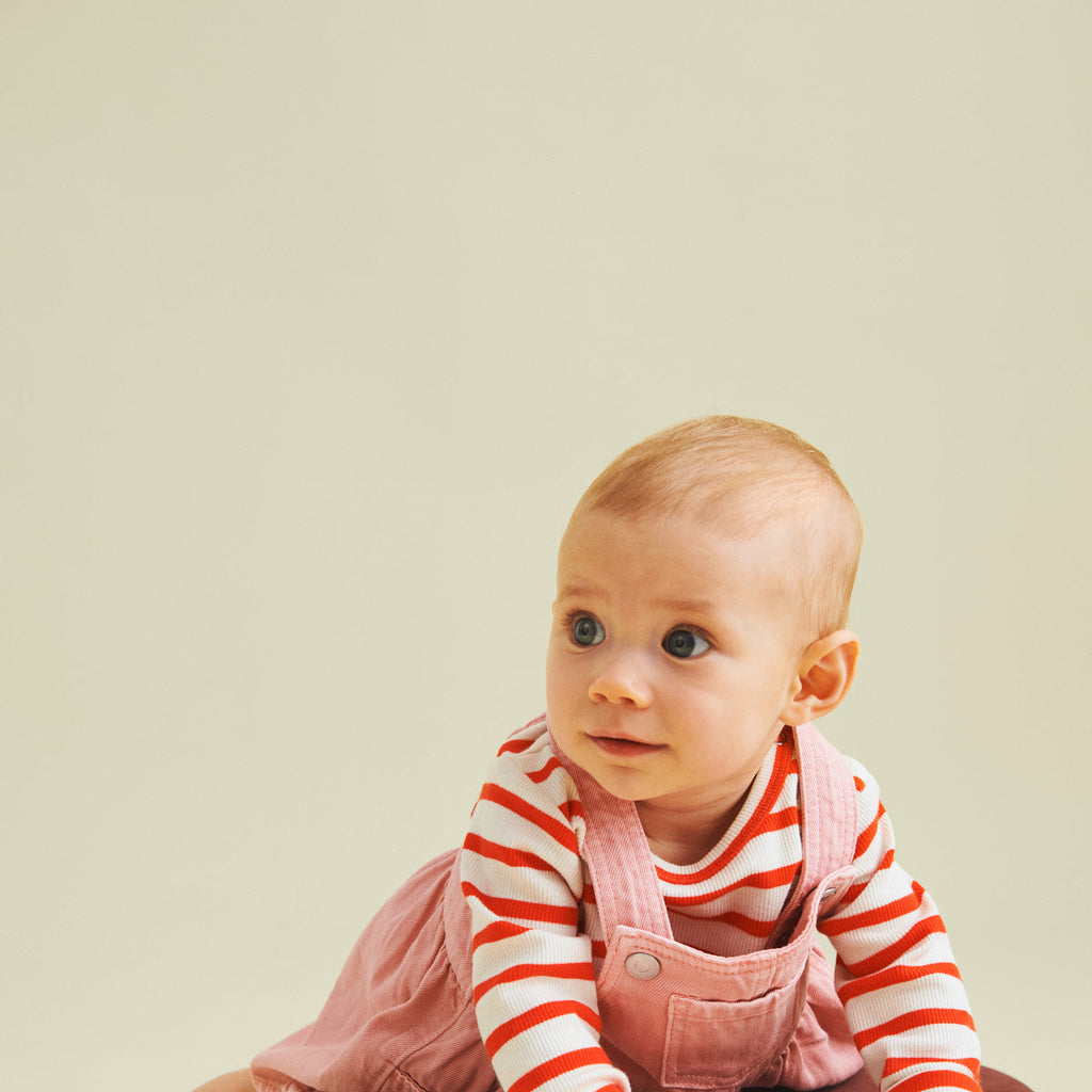 BOBLES | TURTLE | VINTAGE ROSE