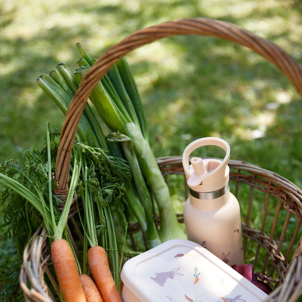 FILIBABBA | ROESTVRIJSTALEN WATERFLES (350 ML) | CARROT THIEF