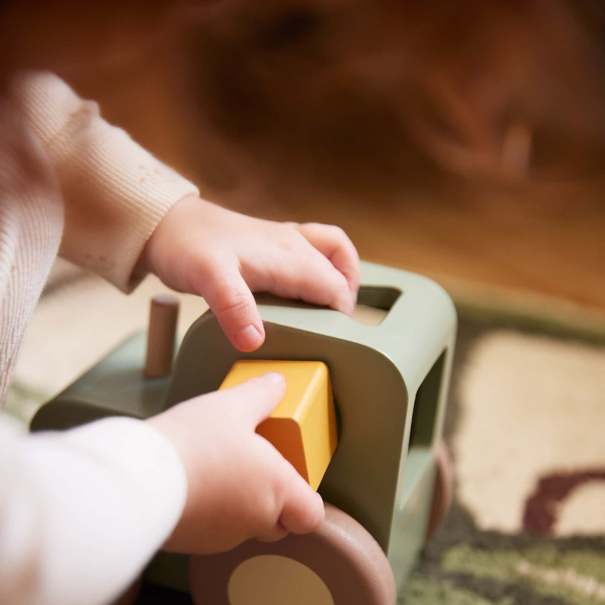 FILIBABBA | PULL ALONG TRACTOR WITH SHAPE SORTER