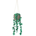 Breng een natuurlijke, groene touch in je interieur met de Hedera Felix Hangplant. Deze handgemaakte hangplant heeft hedera bladeren van duurzaam vilt.

Perfect voor de kinderkamer of speelhoek, 