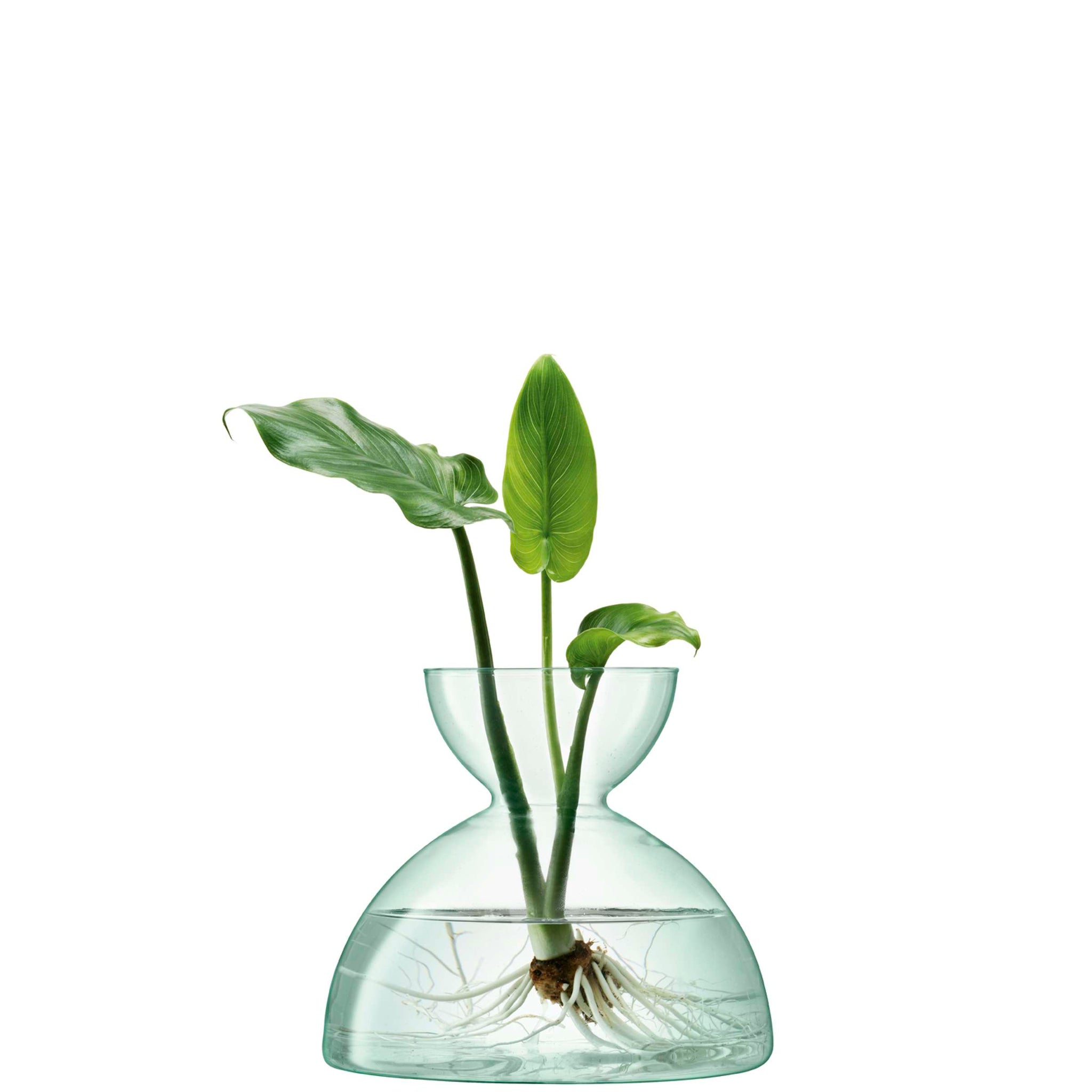L.S.A. | CANOPY VAAS | 18 CM