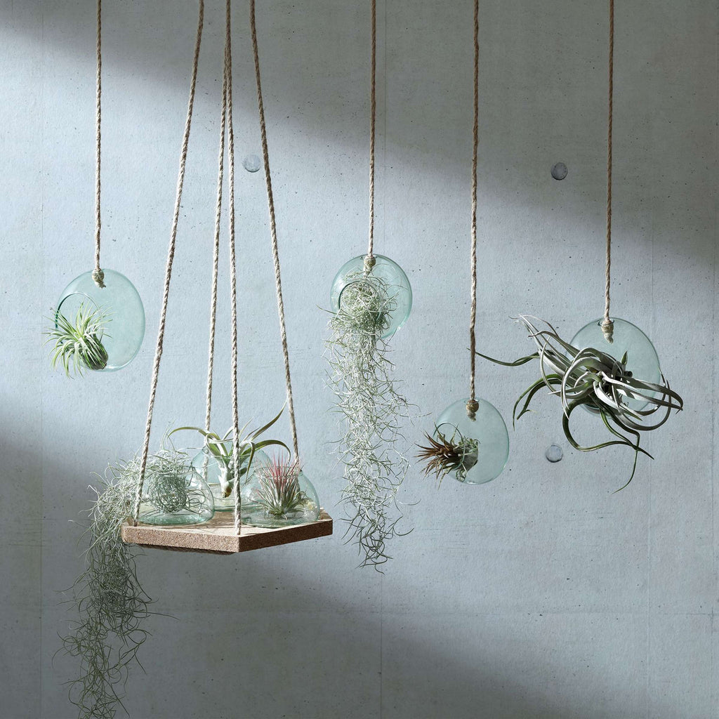 L.S.A. | CANOPY PLANTENHANGER | Ø 10 CM