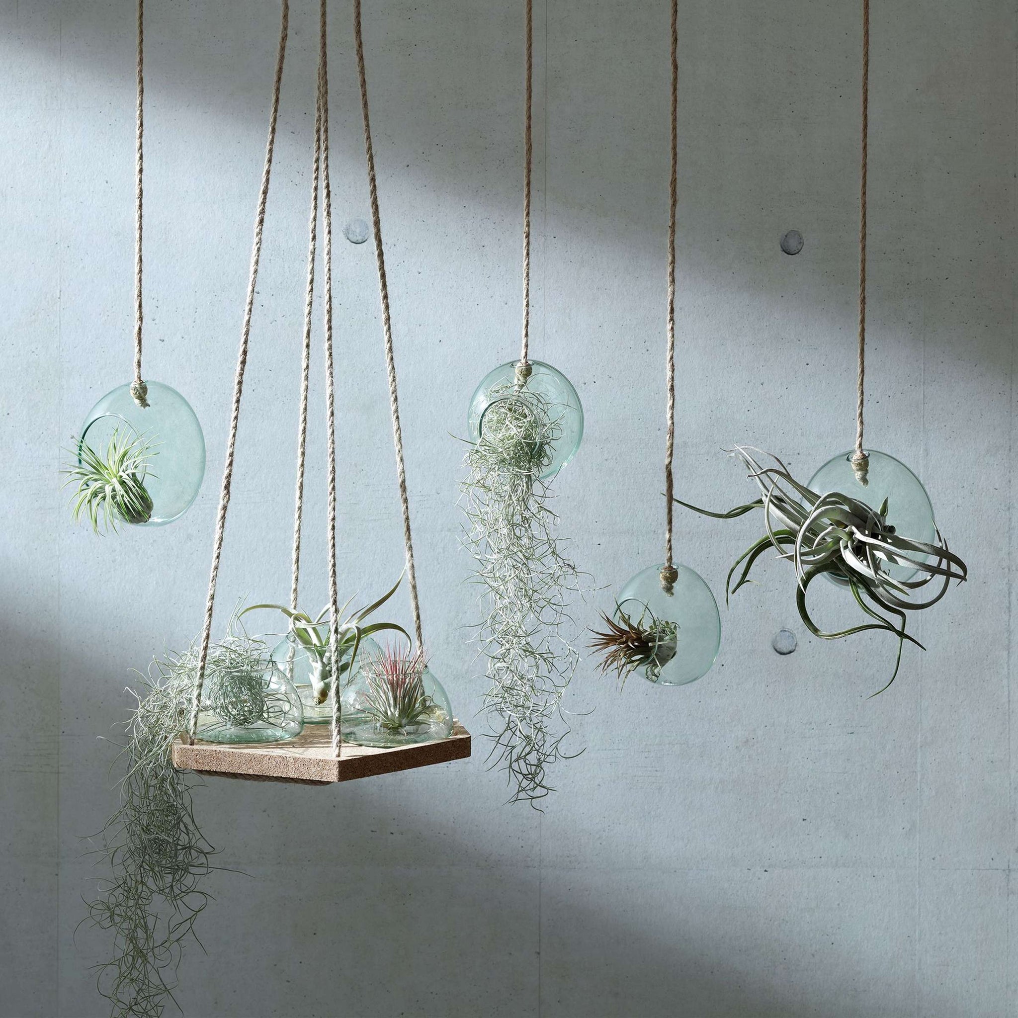 L.S.A. | CANOPY PLANTENHANGER | Ø 10 CM