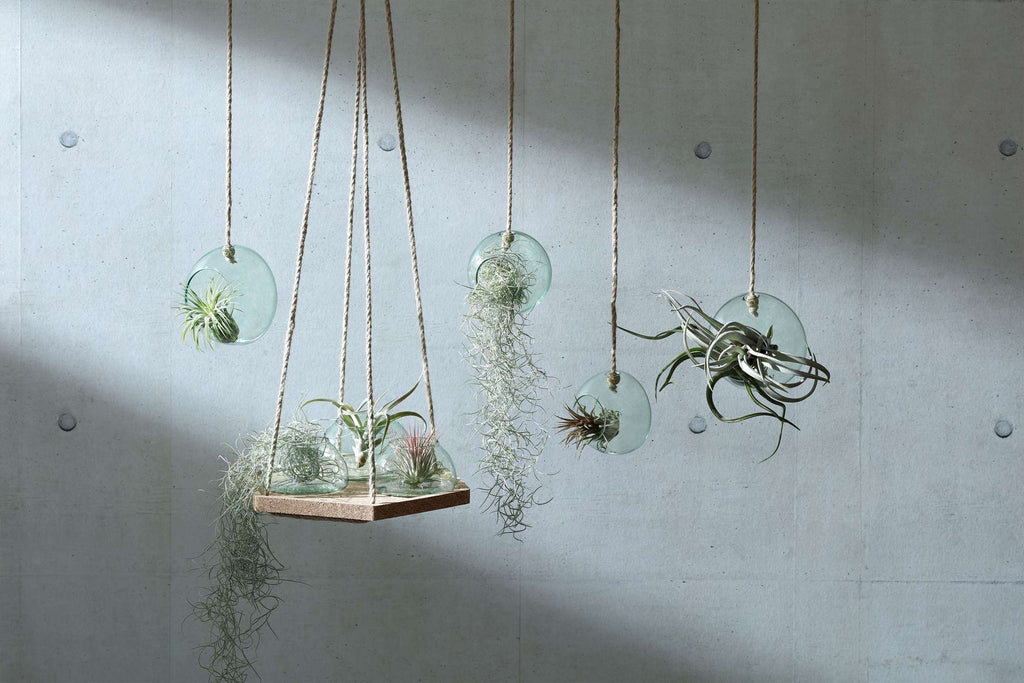 L.S.A. | CANOPY PLANTENHANGER | Ø 10 CM