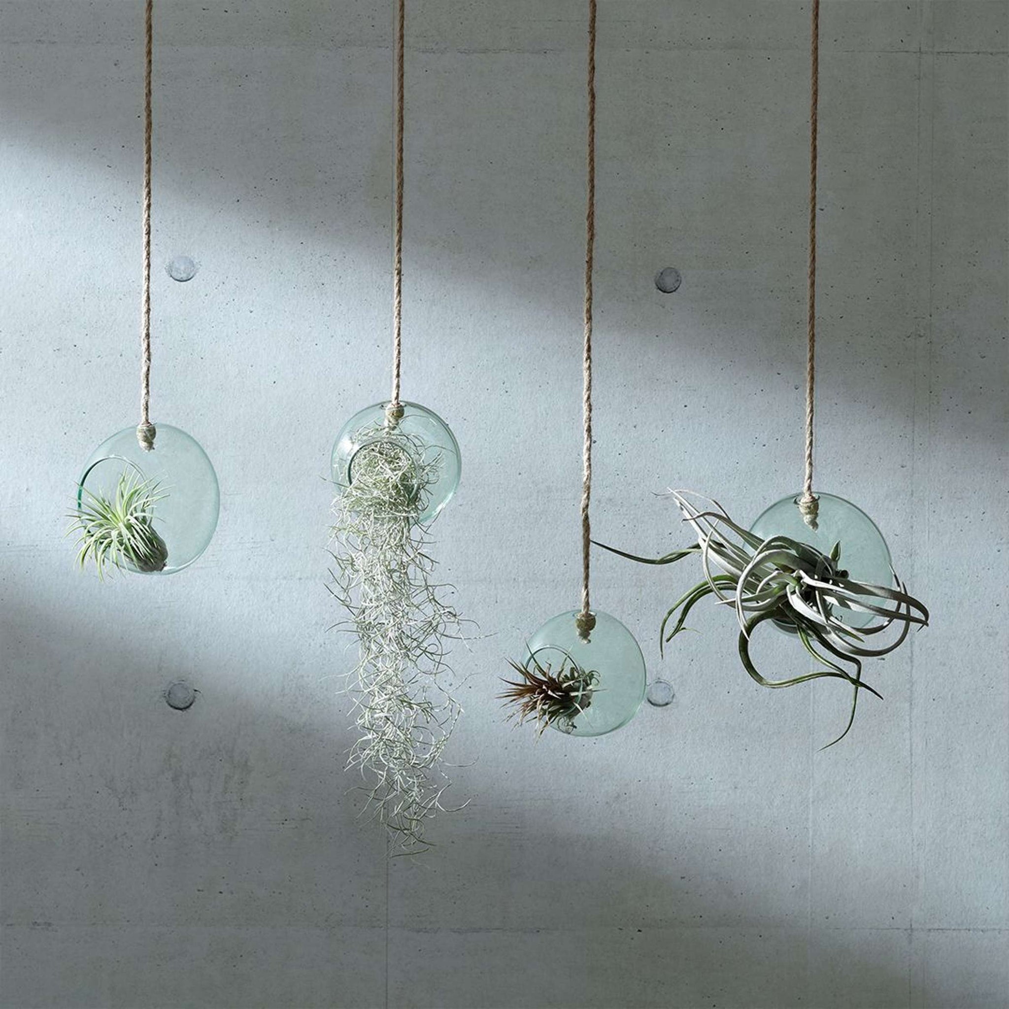 L.S.A. | CANOPY PLANTENHANGER | Ø 10 CM