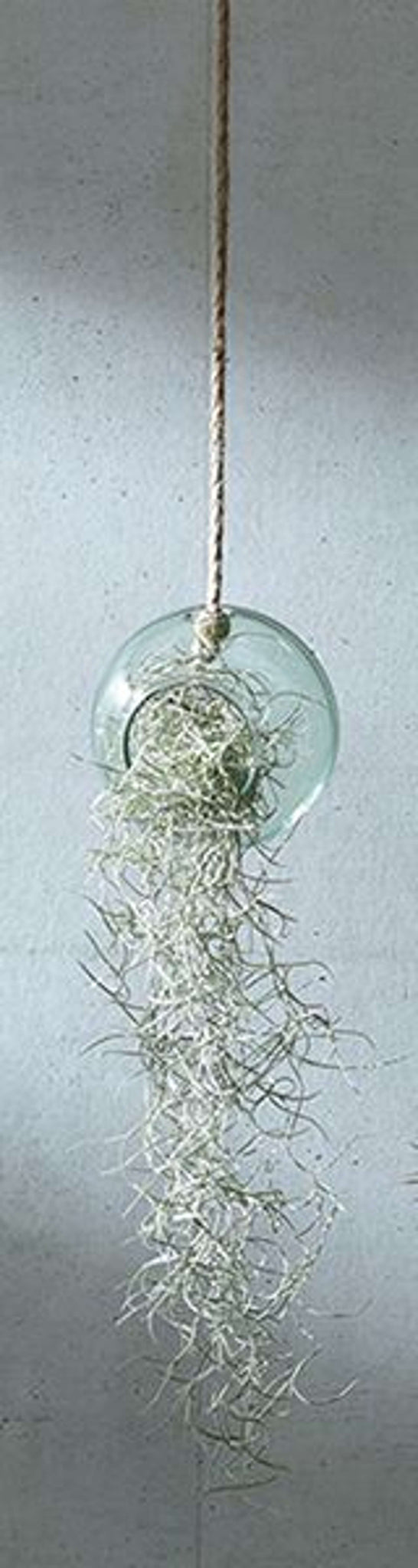 L.S.A. | CANOPY PLANTENHANGER | Ø 10 CM