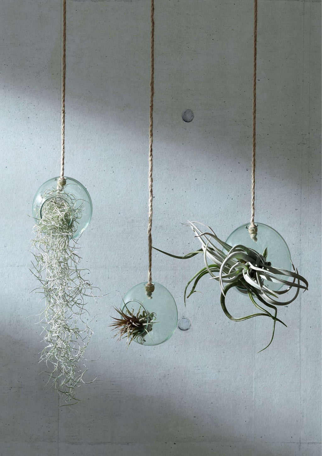 L.S.A. | CANOPY PLANTENHANGER | Ø 10 CM