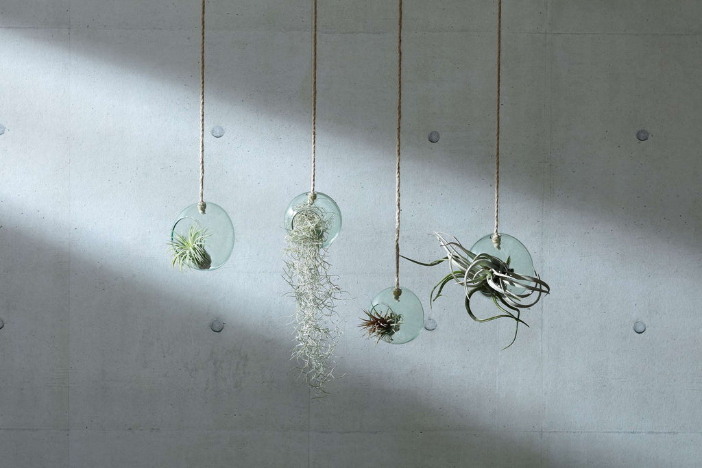 L.S.A. | CANOPY PLANTENHANGER | Ø 10 CM