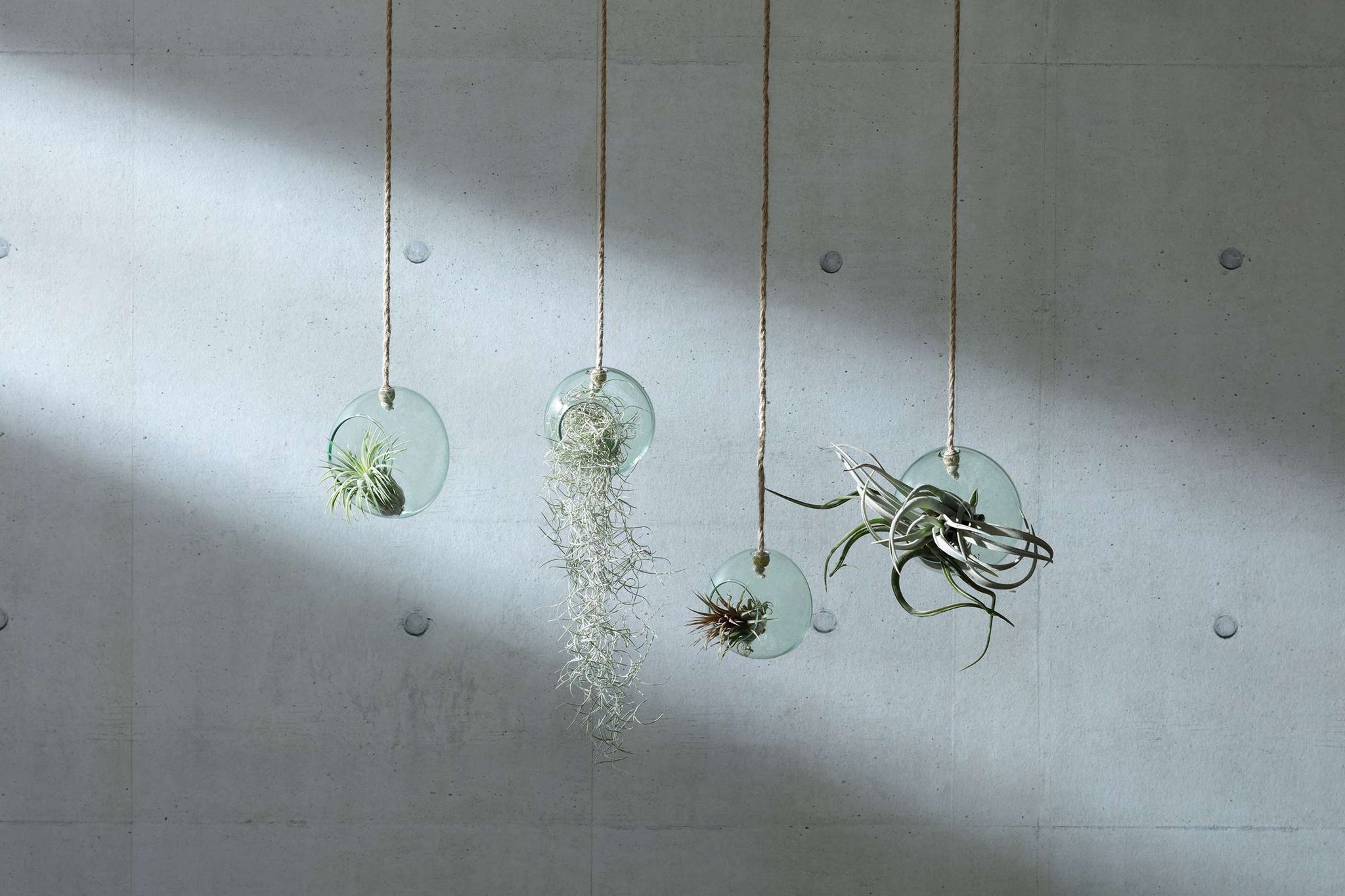 L.S.A. | CANOPY PLANTENHANGER | Ø 10 CM