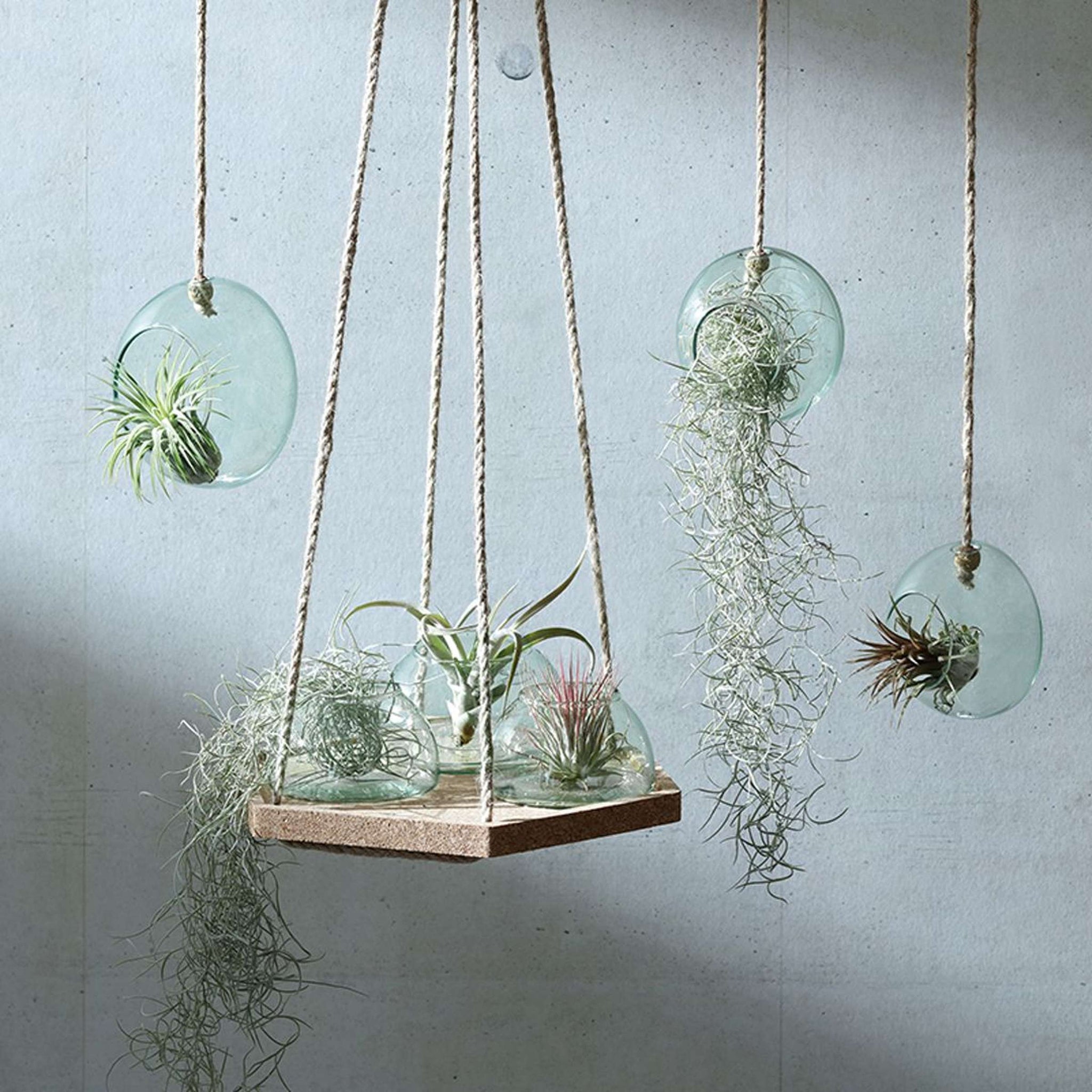 L.S.A. | CANOPY PLANTENHANGER | Ø 10 CM