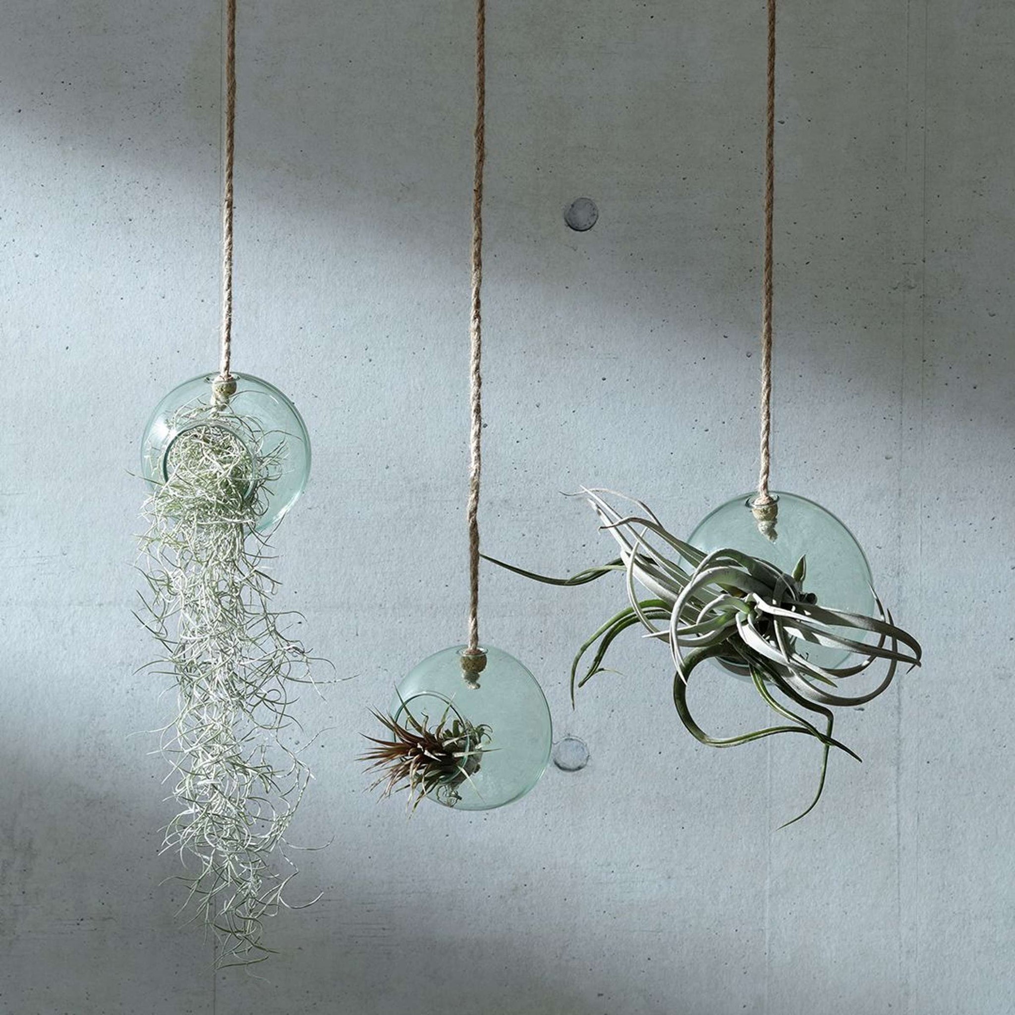 L.S.A. | CANOPY PLANTENHANGER | Ø 10 CM