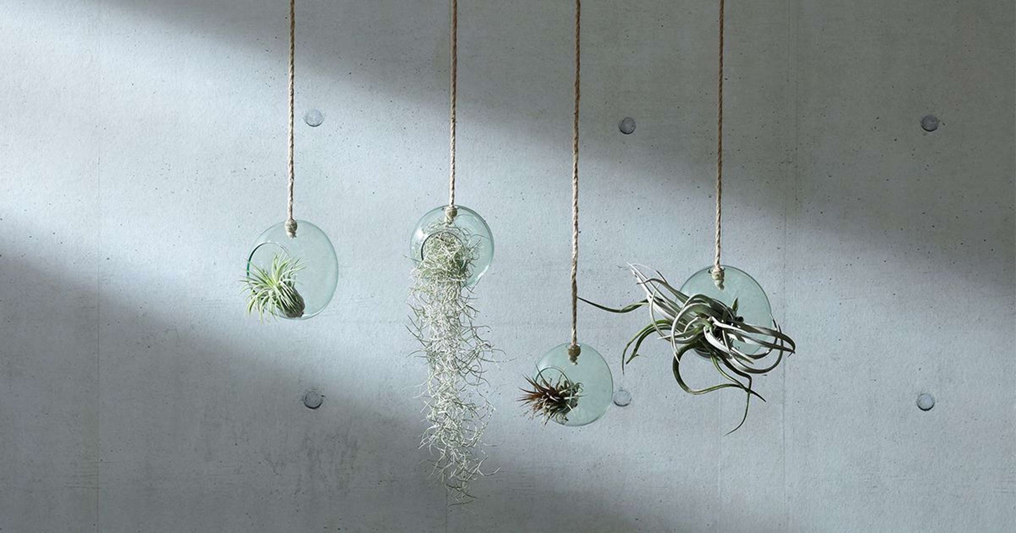 L.S.A. | CANOPY PLANTENHANGER | Ø 10 CM