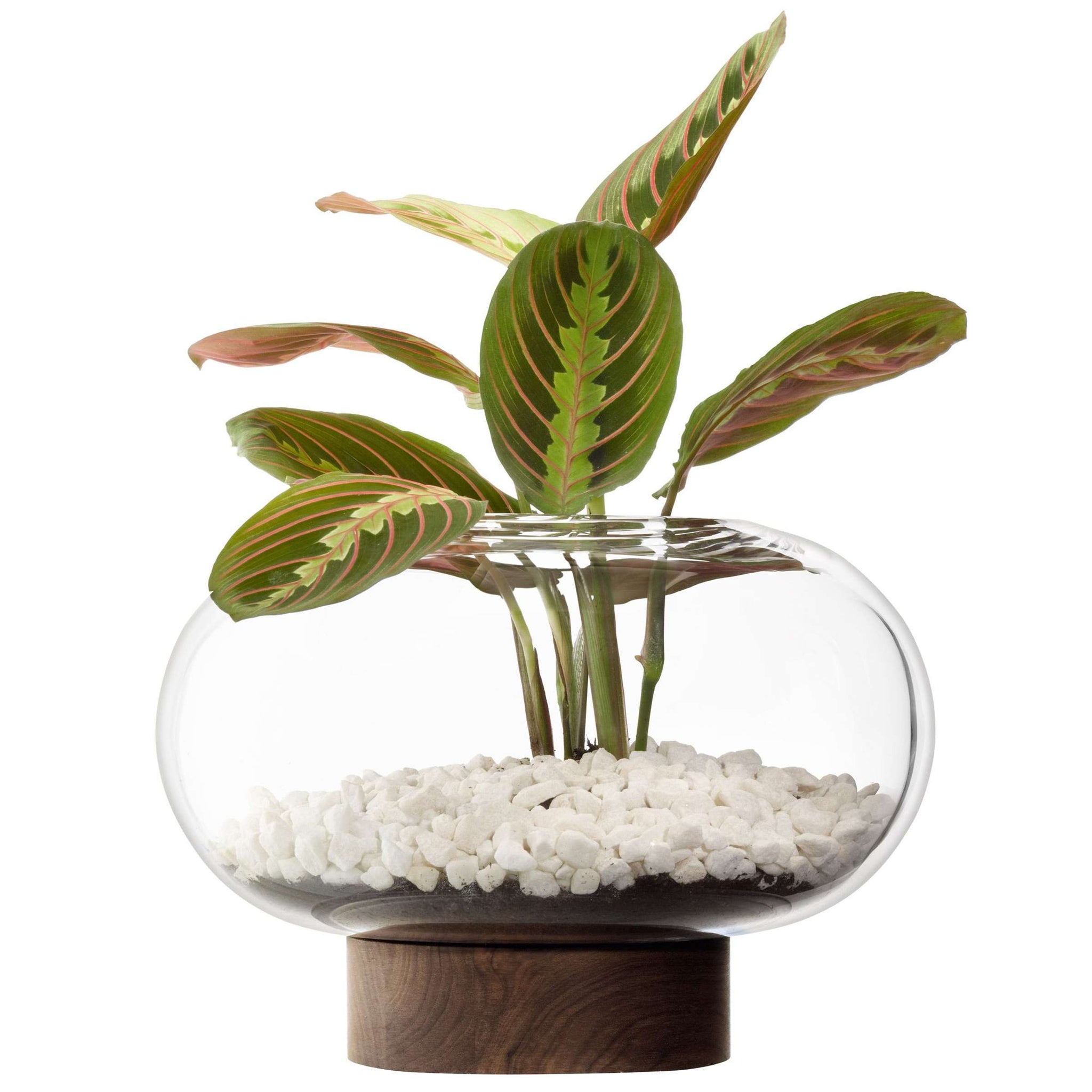 L.S.A. | OBLATE VAAS | 19,5 CM