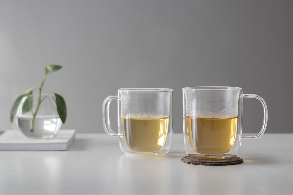 VIVA | DUBBELWANDIGE KOFFIE-/THEEGLAZEN (SET OF 2) | 400 ML